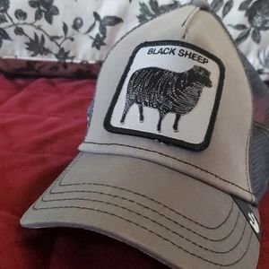Black Sheep Hat